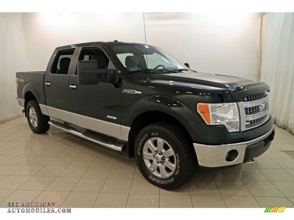 Green Gem Metallic / Steel Gray Ford F150 XLT SuperCrew 4x4