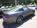 Ford Mustang EcoBoost Fastback Lead Foot Gray photo #2