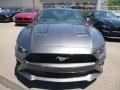 Ford Mustang EcoBoost Fastback Lead Foot Gray photo #4