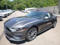 Ford Mustang EcoBoost Fastback Lead Foot Gray photo #5