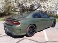 Dodge Charger R/T Scat Pack F8 Green photo #6