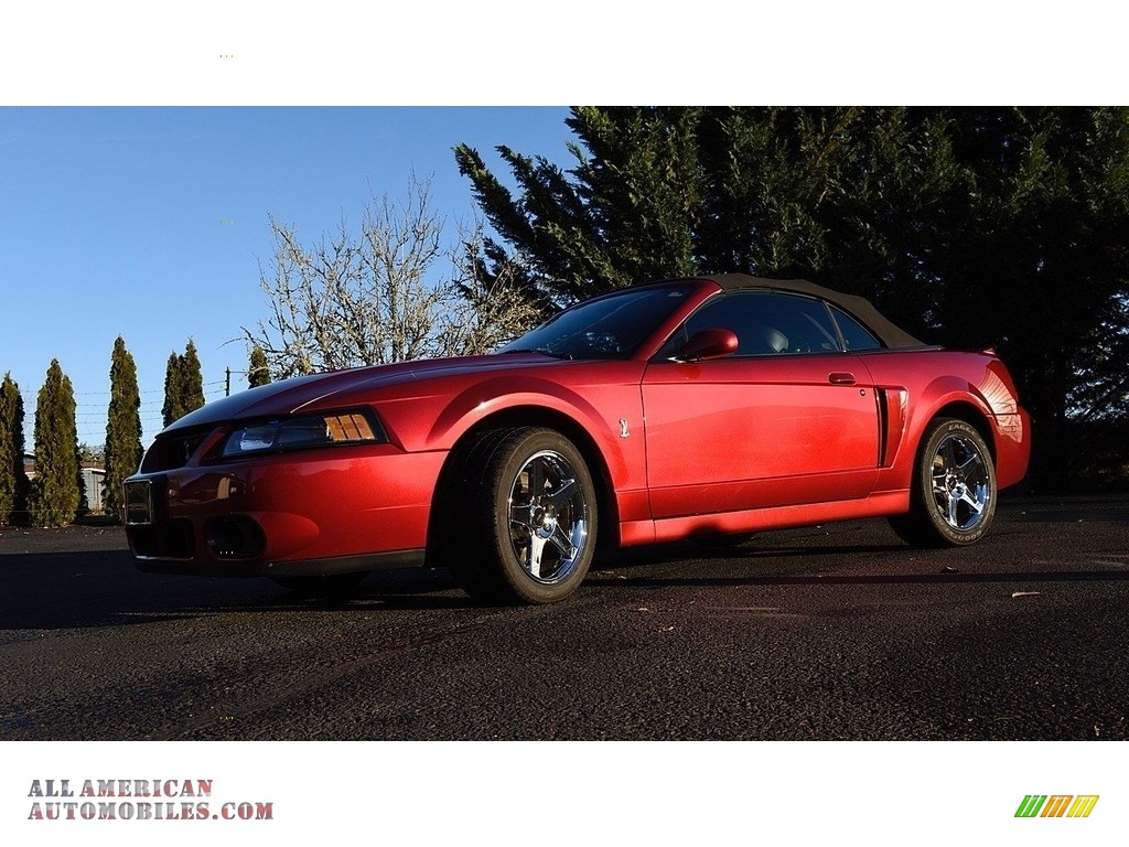 2003 Mustang Cobra Convertible - Redfire Metallic / Dark Charcoal/Medium Graphite photo #6