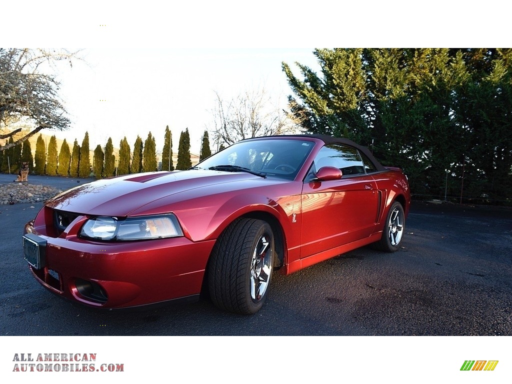 2003 Mustang Cobra Convertible - Redfire Metallic / Dark Charcoal/Medium Graphite photo #8