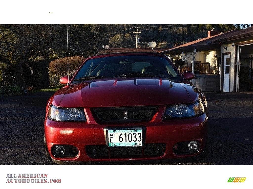 2003 Mustang Cobra Convertible - Redfire Metallic / Dark Charcoal/Medium Graphite photo #9