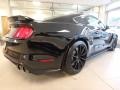 Ford Mustang Shelby GT350 Shadow Black photo #10