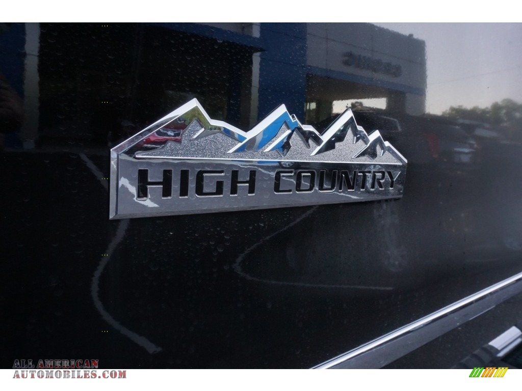 2019 Silverado 2500HD High Country Crew Cab 4WD - Mosaic Black Metallic / High Country Saddle photo #9