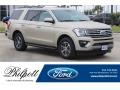 Ford Expedition XLT White Gold photo #1