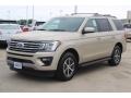 Ford Expedition XLT White Gold photo #3