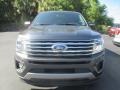Ford Expedition XLT Magnetic photo #2