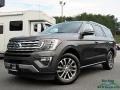 Ford Expedition Limited Magnetic photo #1
