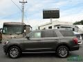 Ford Expedition Limited Magnetic photo #2