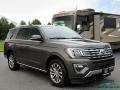 Ford Expedition Limited Magnetic photo #7