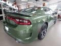 Dodge Charger R/T F8 Green photo #5