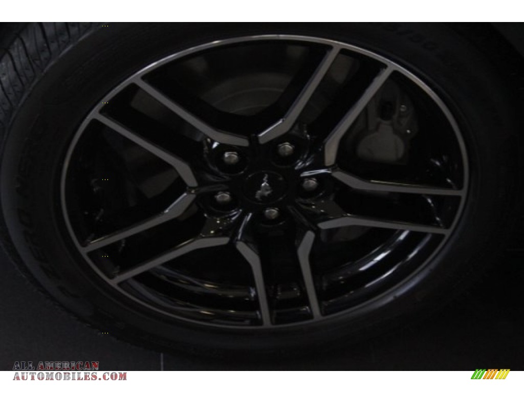 2019 Mustang GT Premium Convertible - Magnetic / Ebony photo #5