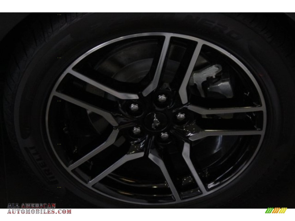 2019 Mustang GT Premium Convertible - Magnetic / Ebony photo #6