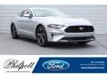 Ford Mustang EcoBoost Fastback Ingot Silver photo #1