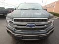 Ford F150 King Ranch SuperCrew 4x4 Guard photo #7