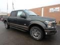 Ford F150 King Ranch SuperCrew 4x4 Guard photo #8