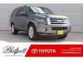 Ford Expedition Limited Sterling Gray photo #1