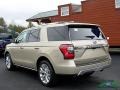 Ford Expedition Limited 4x4 White Gold photo #3