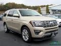 Ford Expedition Limited 4x4 White Gold photo #7