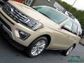 Ford Expedition Limited 4x4 White Gold photo #38
