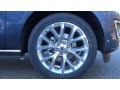 Ford Expedition Limited 4x4 Blue Metallic photo #29