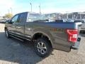 Ford F150 XLT SuperCab 4x4 Magnetic photo #4