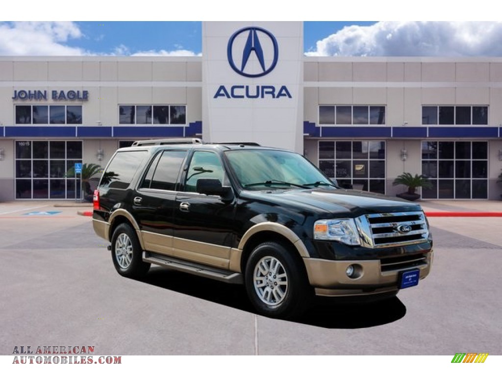 Tuxedo Black / Stone Ford Expedition XLT