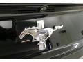Ford Mustang V6 Convertible Shadow Black photo #25