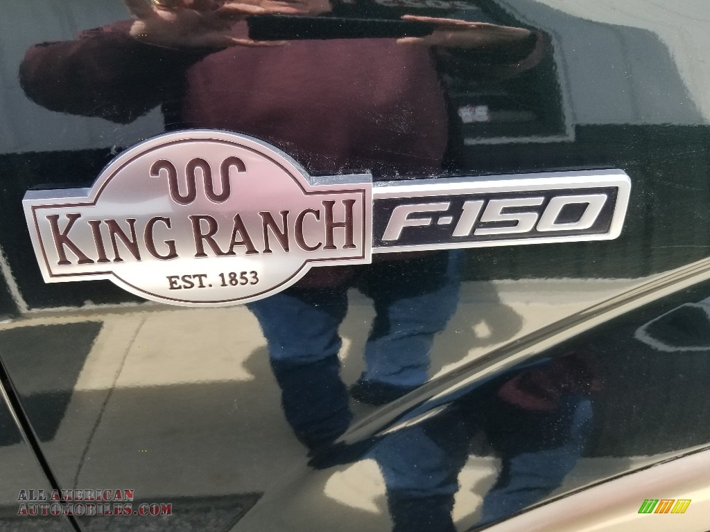 2012 F150 King Ranch SuperCrew 4x4 - Green Gem Metallic / King Ranch Chaparral Leather photo #23