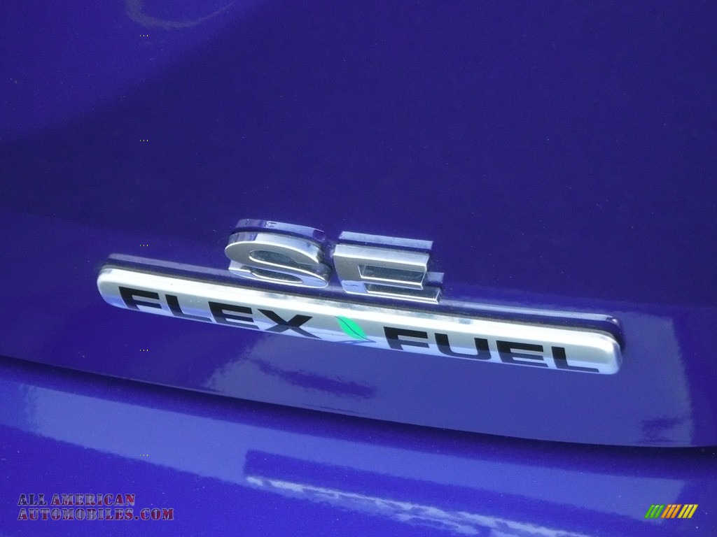 2013 Focus SE Sedan - Blue Candy / Charcoal Black photo #10