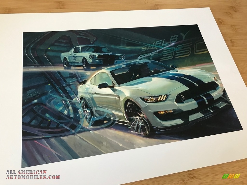 2016 Mustang Shelby GT350R - Oxford White / Ebony photo #100