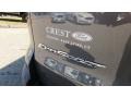 Ford EcoSport SE 4WD Smoke Metallic photo #10