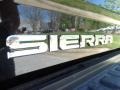 GMC Sierra 2500HD Denali Crew Cab 4WD Onyx Black photo #9