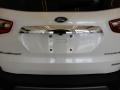 Ford EcoSport Titanium 4WD White Platinum photo #7
