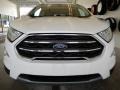 Ford EcoSport Titanium 4WD White Platinum photo #11