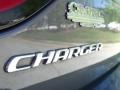 Dodge Charger SXT Plus Destroyer Gray photo #8
