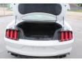 Ford Mustang California Special Fastback Oxford White photo #22
