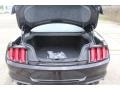 Ford Mustang California Special Fastback Shadow Black photo #21