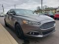 Ford Fusion SE EcoBoost Sterling Gray photo #51