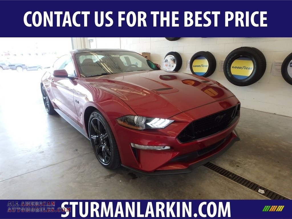 2019 Mustang GT Fastback - Ruby Red / Ebony photo #1