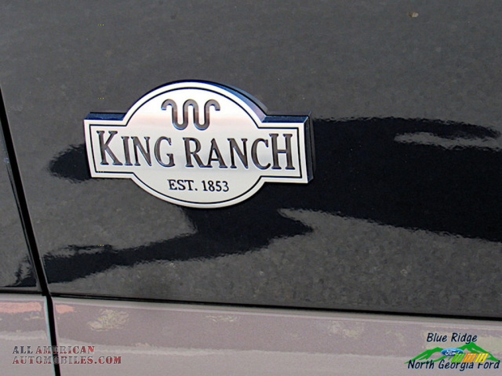 2019 F150 King Ranch SuperCrew 4x4 - Agate Black / King Ranch Kingsville/Java photo #41