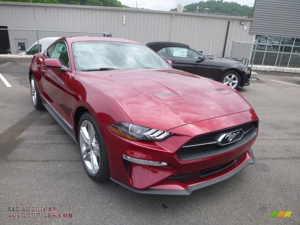 2019 Mustang EcoBoost Premium Fastback - Ruby Red / Ebony photo #3