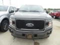 Ford F150 STX SuperCrew 4x4 Magnetic photo #2