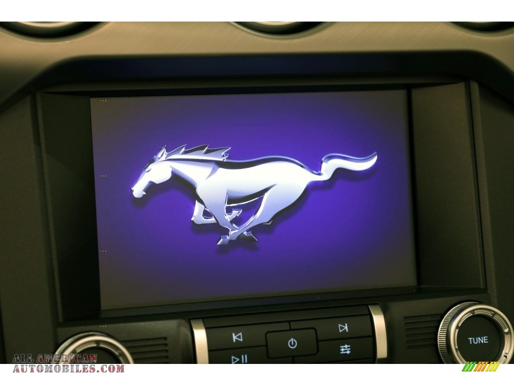 2019 Mustang EcoBoost Premium Convertible - Race Red / Ebony photo #11