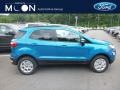 Ford EcoSport SE 4WD Blue Candy Metallic photo #1