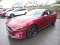 Ford Mustang EcoBoost Fastback Ruby Red photo #5