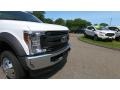 Ford F550 Super Duty XL Regular Cab 4x4 Chassis White photo #24