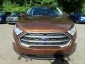 Ford EcoSport SE 4WD Canyon Ridge Metallic photo #9